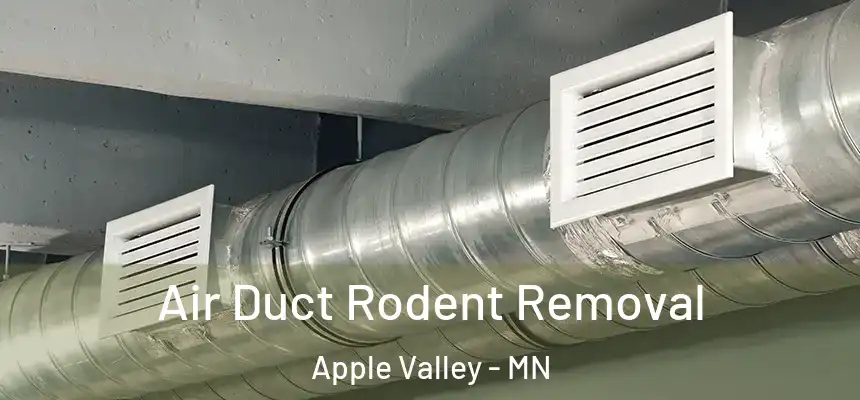  Air Duct Rodent Removal Apple Valley - MN