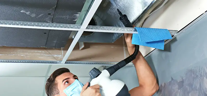 Our Air Duct Rodent Removal Services in Apple Valley, MN