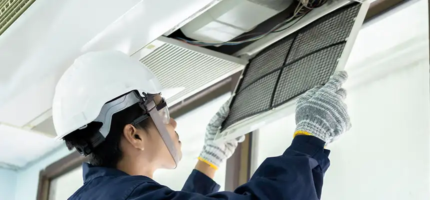 Our Lint Trap Cleaning Service Services in Apple Valley, MN