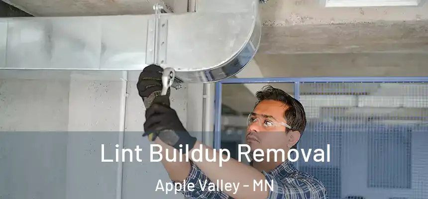  Lint Buildup Removal Apple Valley - MN