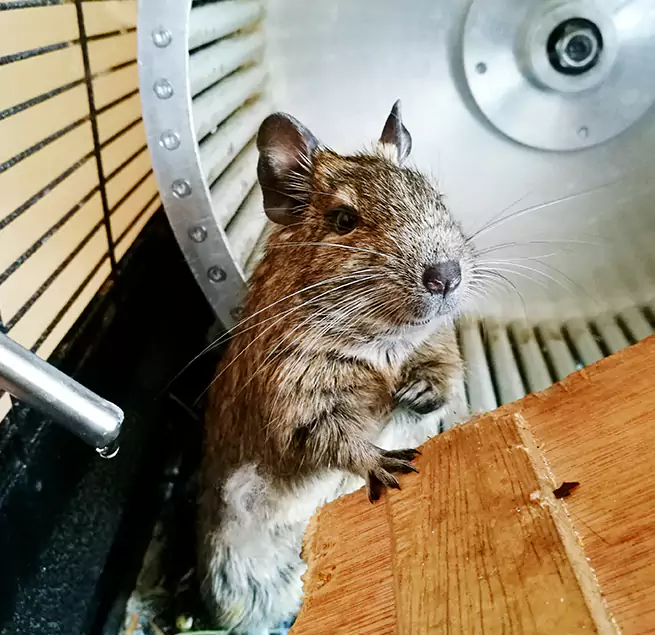 Why Homeowners & Businesses Trust Us Apple Valley, MN?