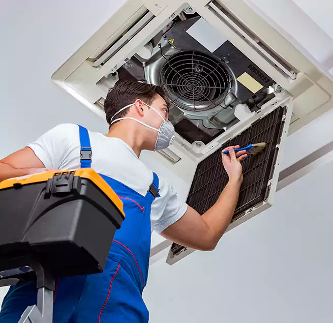 Why Homeowners & Businesses Trust Us in Apple Valley, MN