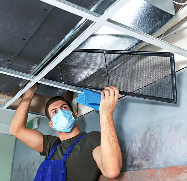 Why Homeowners & Businesses Trust Us in Apple Valley, MN?